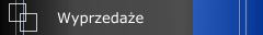 Wyprzedaże